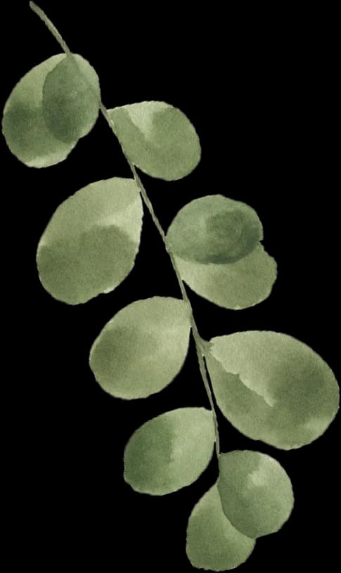 leaf