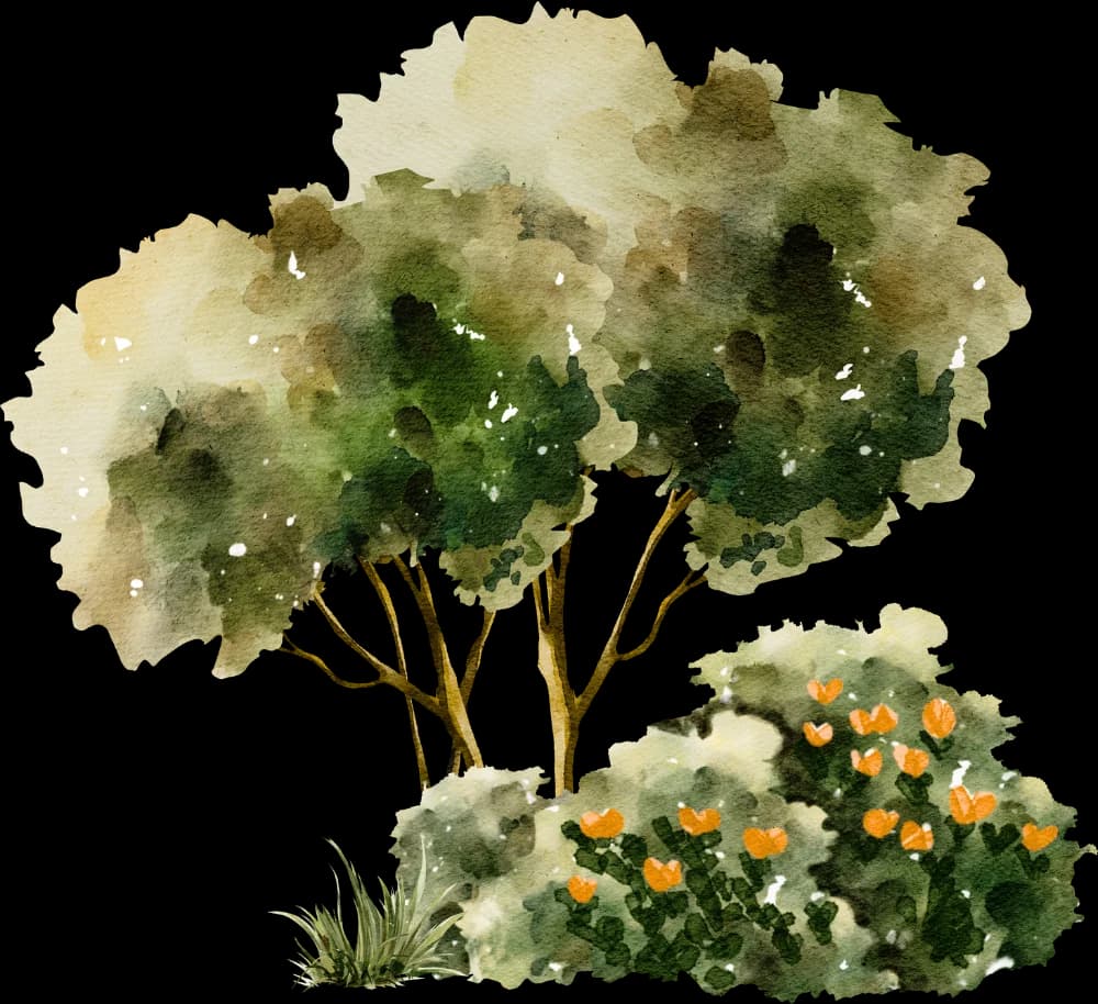 bush